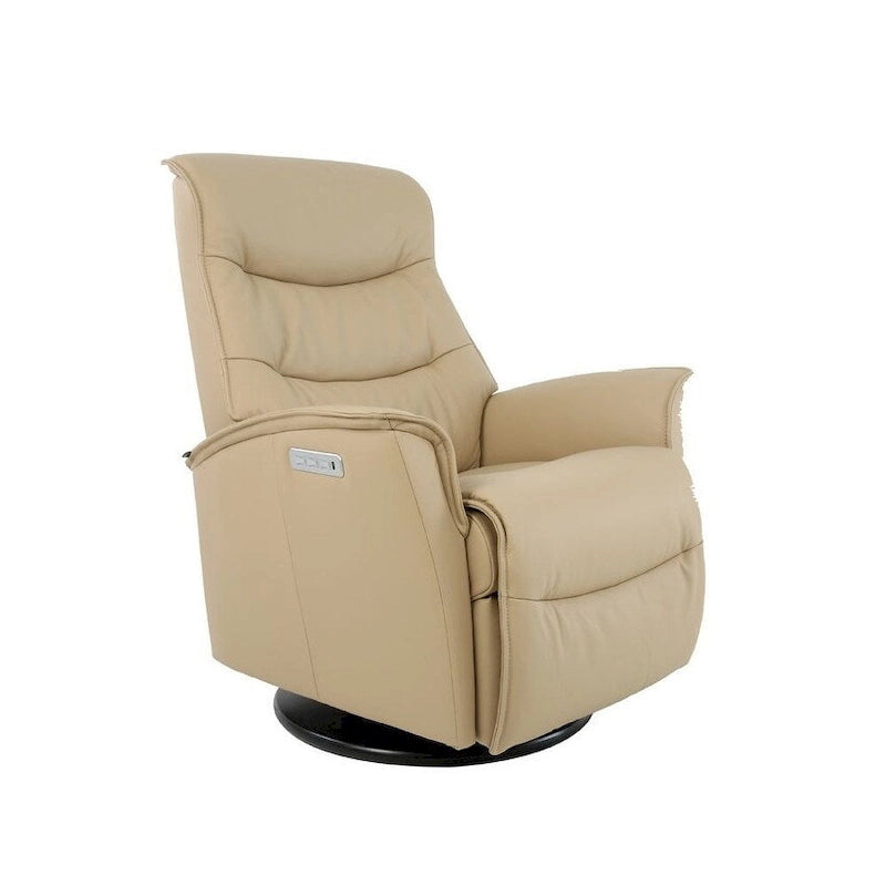 Leather Swing Recliner