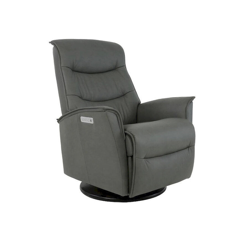 Leather Swing Recliner